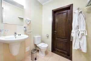 Мини-отель Оселя. Делюкс двухместный Танец медовой пчелки 5