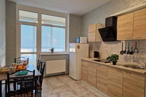 Квартира проспект Европейского Союза, 41. Апартаменты двухместный 11 этаж 10